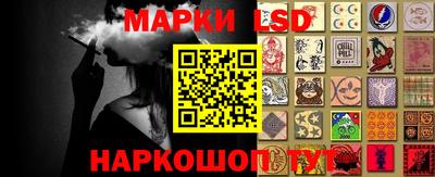 гидра Камышлов