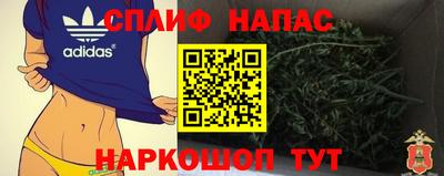 гидра Камышлов