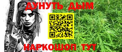 гидра Камышлов