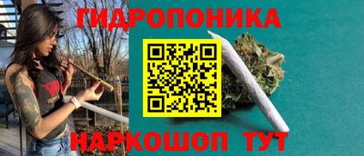 трава Кандалакша