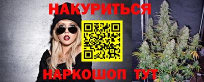 гидра Камышлов