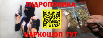 трава Кандалакша