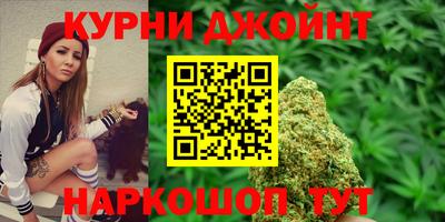 гидра Камышлов