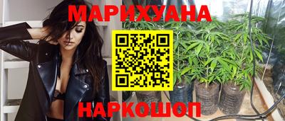 гидра Камышлов